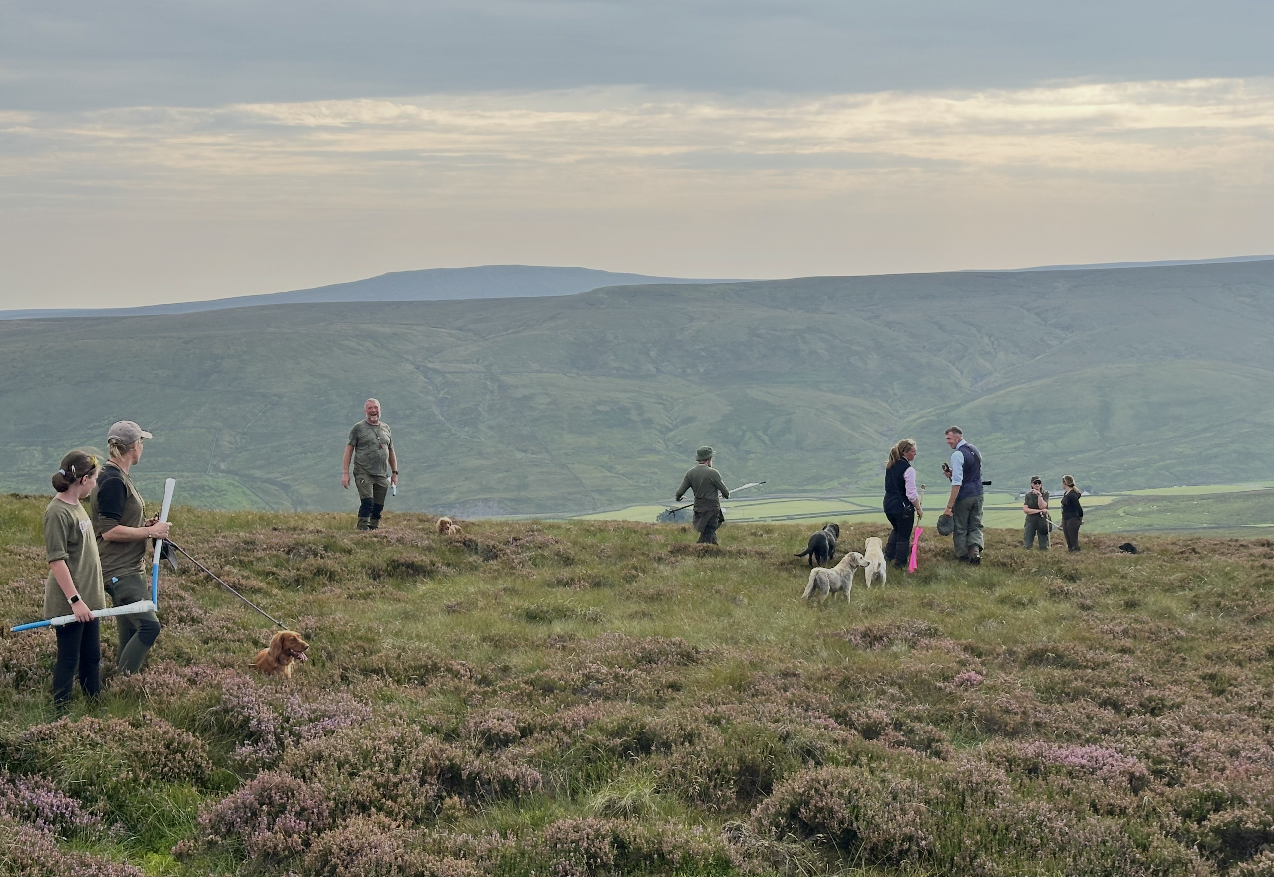 The Glorious 12th: North Pennines Grouse Season Gets Underway with Renewed Optimism